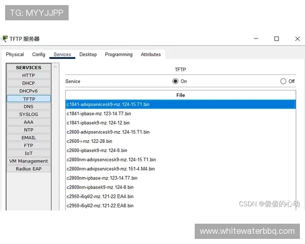 新手必看:PA扑鱼登陆的基础知识和进阶策略分享 新手必看:PA扑鱼登陆的基础知识和进阶策略分享